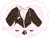౨ৎ cheetah