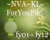 ~NVA~KL-ForYouPic