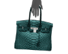 Teal Snake B!rken