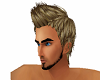 Nick Blonde Brown