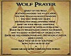 WOLF PRAYER