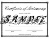 the Domino's certificate