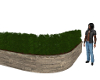 CB Curved Hedge