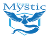 ☽ | Mystic Team