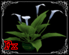 [Fx] Bonsai Lily