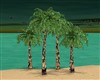 4 STANDING PALM TREES
