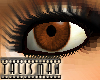 [TLA]brown eye