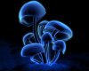 Blue Mushroom Throne