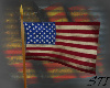 [S] USA Flag Animated