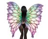 Fairy Wings