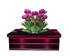 MP~POTTED BOX PLANT 4