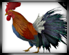 Animated Rooster