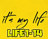 Endshpil- It's My Life