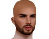 Realist Head