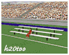 MAU/ WORLD CUP BLEACHERS