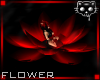 Flower Red 3a Ⓚ