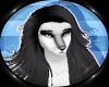 Nue-MHair V3-KITT