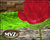 [MVZ] Red Rose Bush 