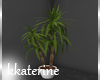 [kk] City Loft Plant 3