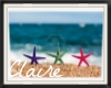 ~C~Beach Frame