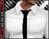 SAS-Boss Shirt/Tie 1