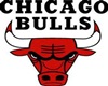 Chicago Bull 'Club