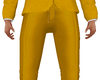 BR N-Year Pants Gold