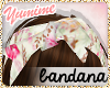 [Y] Spring Hair Bandana