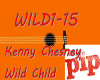Kenny Chesney Wild Child