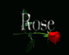 Long Rose Rug