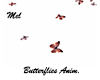 Butterflies Anim