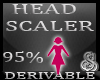 95% Head Resizer