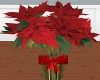 SG Christmas Poinsettia