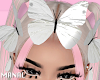 head butterfly