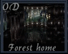 (OD) Home in the forest