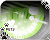 [Pets] Kimi | eyes v2