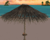 *Tiki Parasol