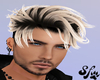 Blondin Shaggy John