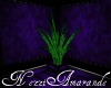 Posh Purple Plant #2