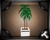 *T Wicker Palm Plant