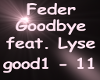 Feder Goodbye feat. Lyse