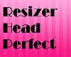 Resizer Head Perfect