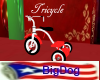 [BD] Tricycle