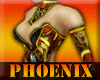  Phoenix Dress Top