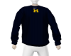 ꫀ michigan sweater