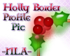 + Holly Border