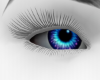 iva boy eyes 4