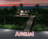 My home sweet island