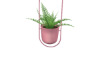 Hanging Plant Pink Pot