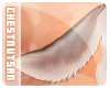 C | Rako Tail V5